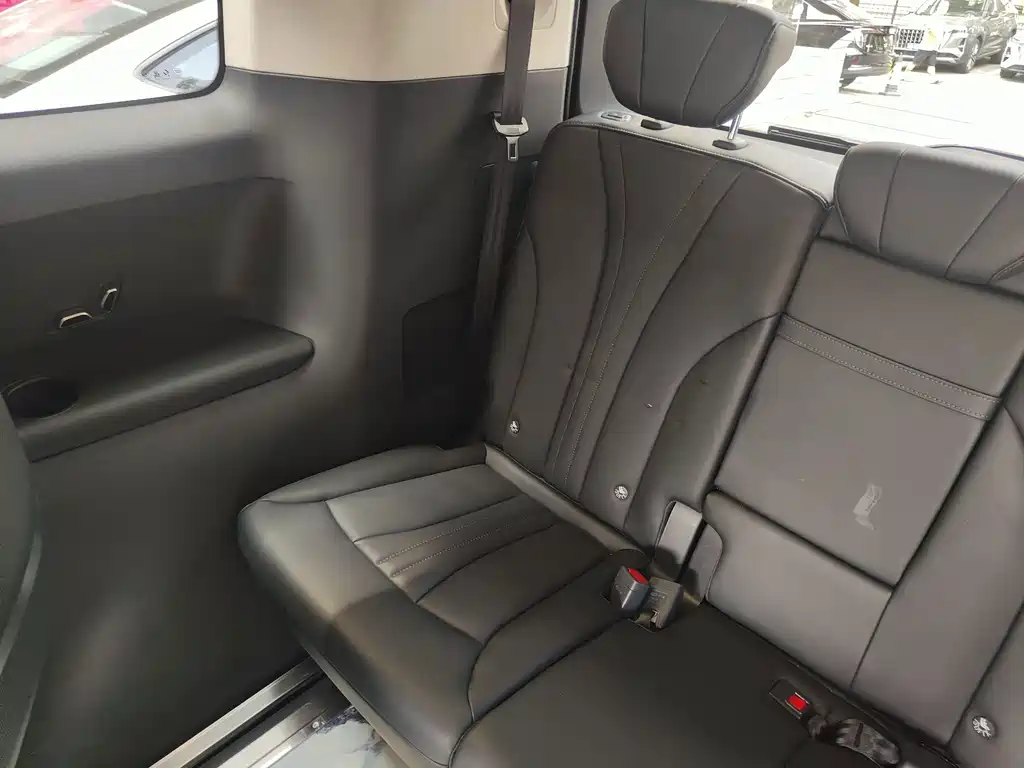 Hongqi HQ9 PHEV 2.0T 4WD Business Edition, фото 15