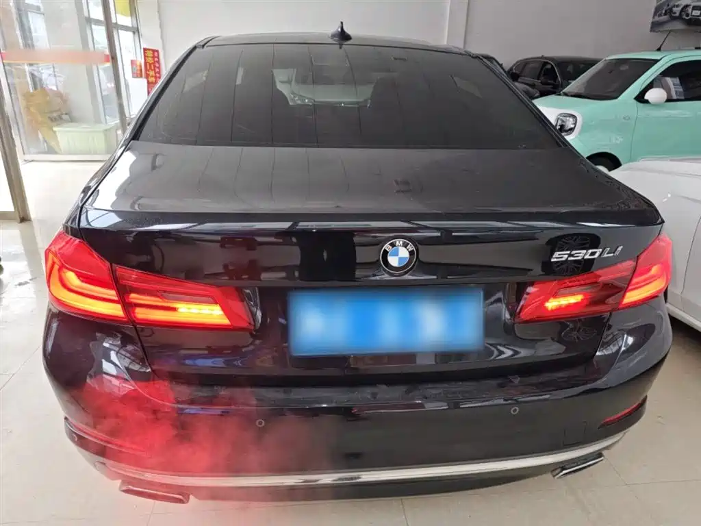 BMW 5 Series 5 2018 530Li Premium Luxury