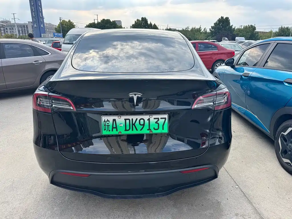 Tesla Model Y — миниатюра 6