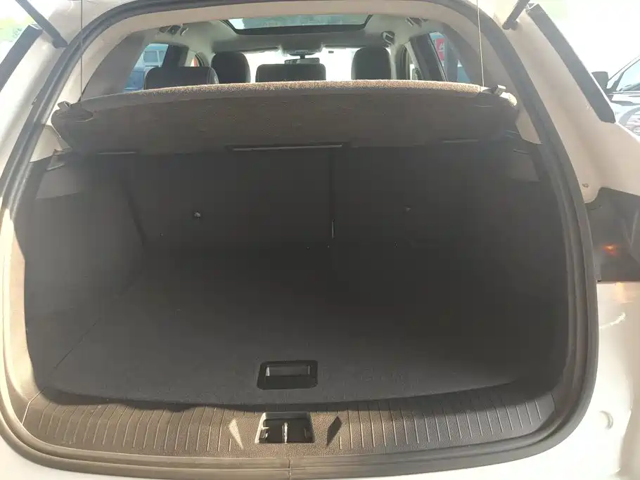 BYD Pro — миниатюра 4