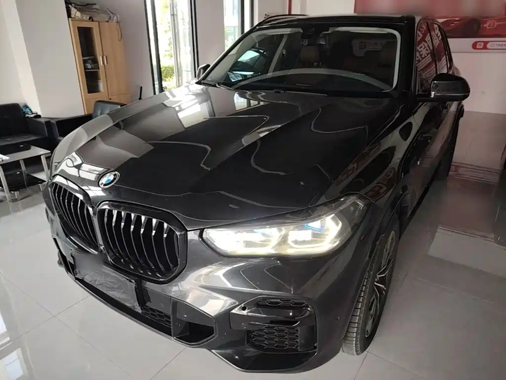 BMW X5 (Import) — миниатюра 2