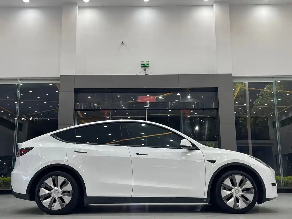 Tesla Model Y — миниатюра 3
