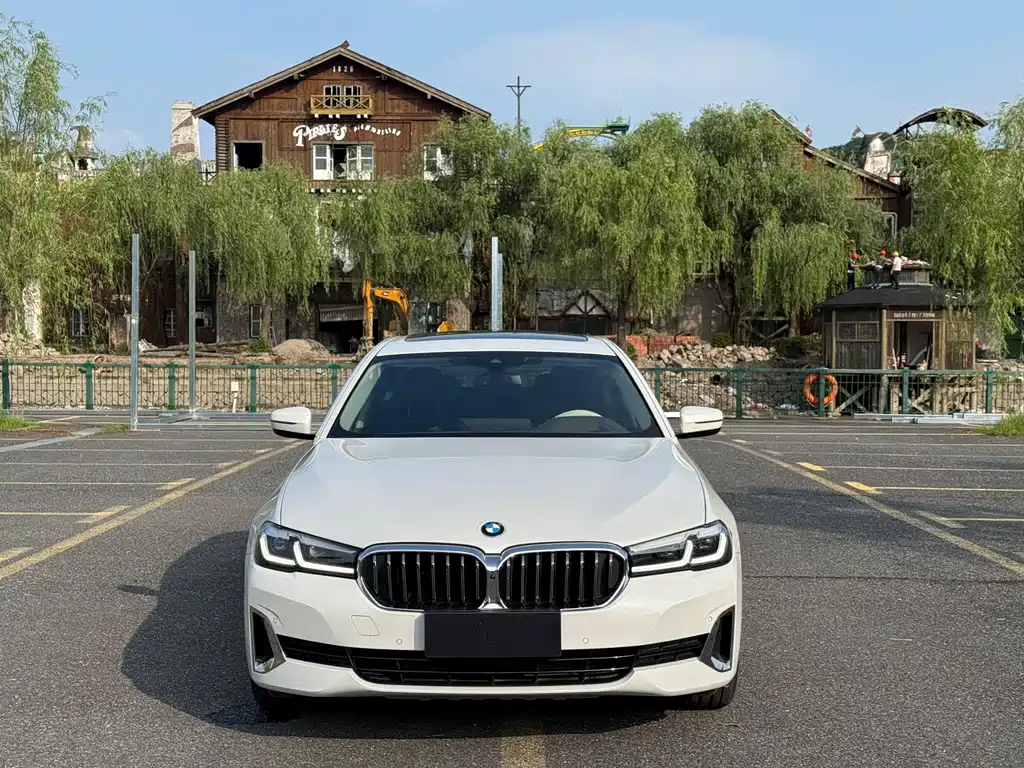 BMW 5 Series 5 2021 530Li Executive Luxury