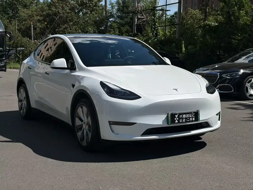 Tesla Model Y — миниатюра 3