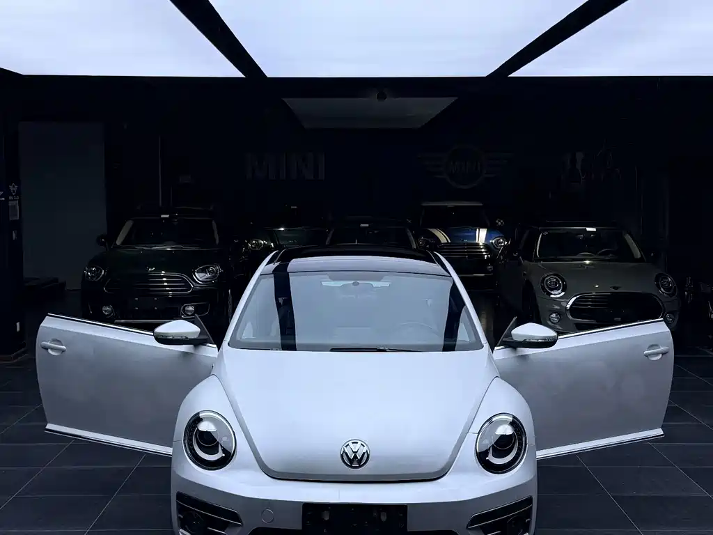 Volkswagen Beetle — миниатюра 3