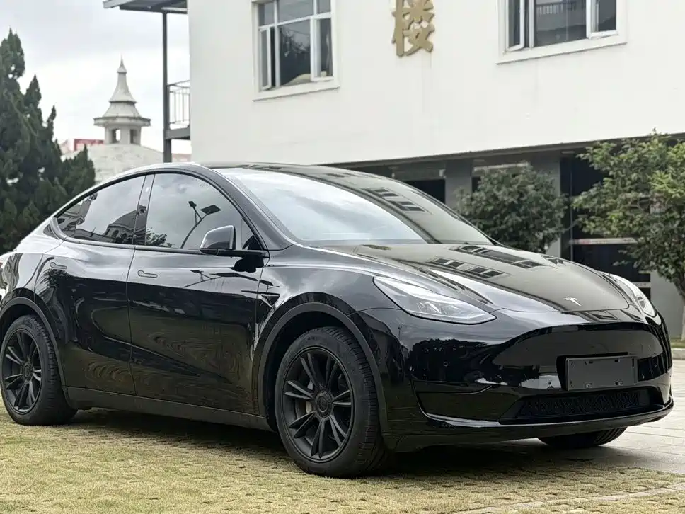 Tesla Model Y — миниатюра 2