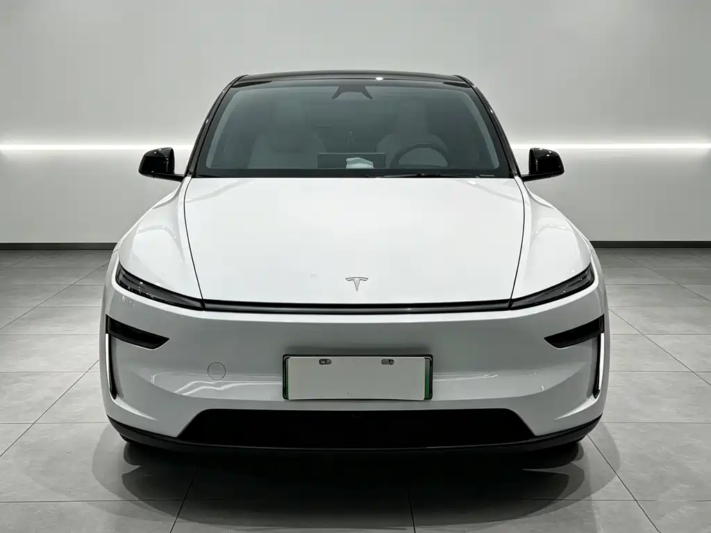 Tesla Model Y — миниатюра 2
