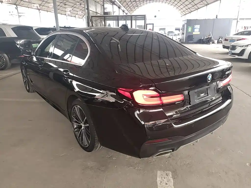 BMW 5 Series — миниатюра 5