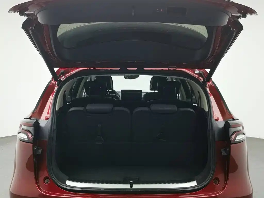 BYD Tang New Energy — миниатюра 16