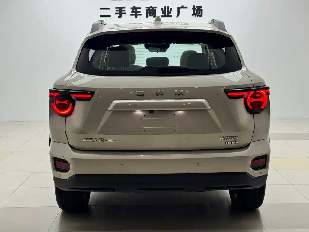 Haval Big Dog PLUS New Energy — миниатюра 19