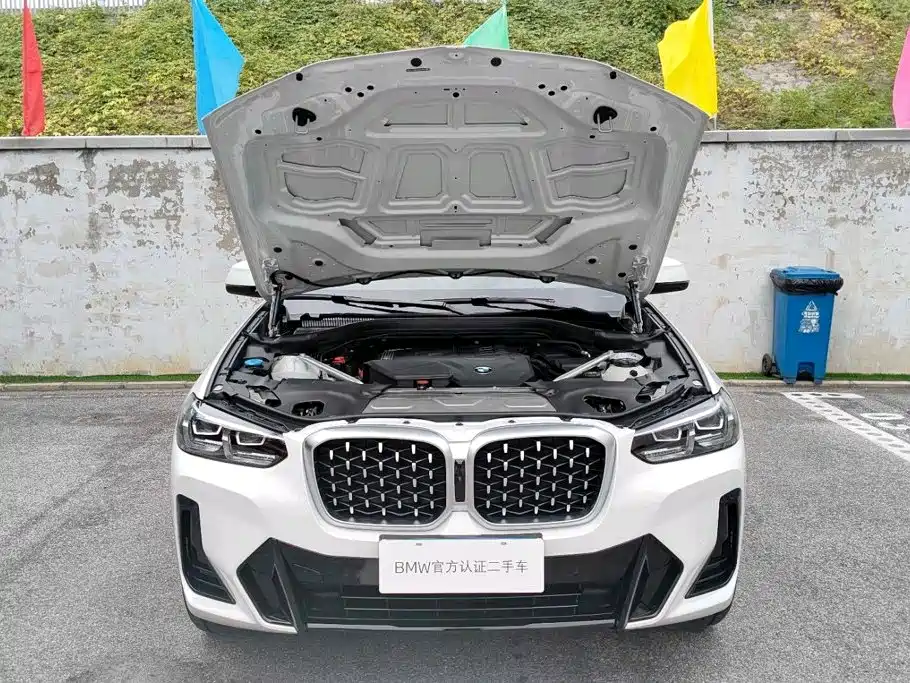 BMW X4 — миниатюра 14