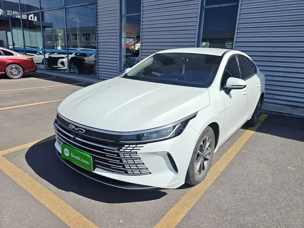 BYD Destroyer 05 2024 DM-i 55KM Luxury