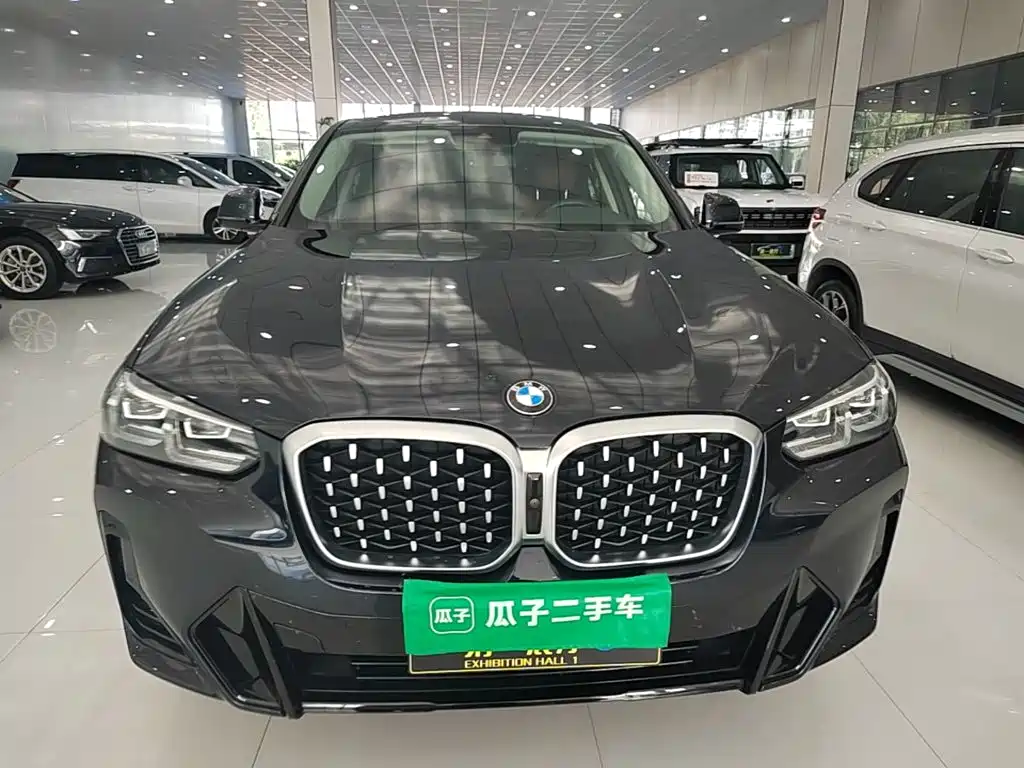 BMW X4 — миниатюра 3