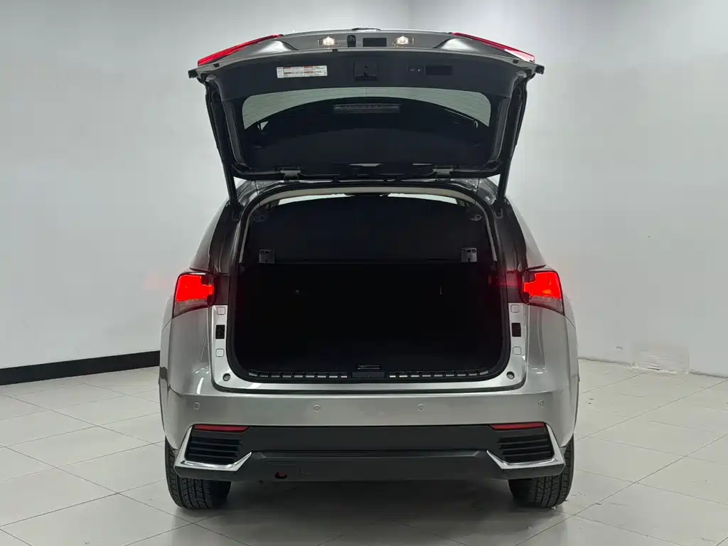 Lexus NX — миниатюра 7