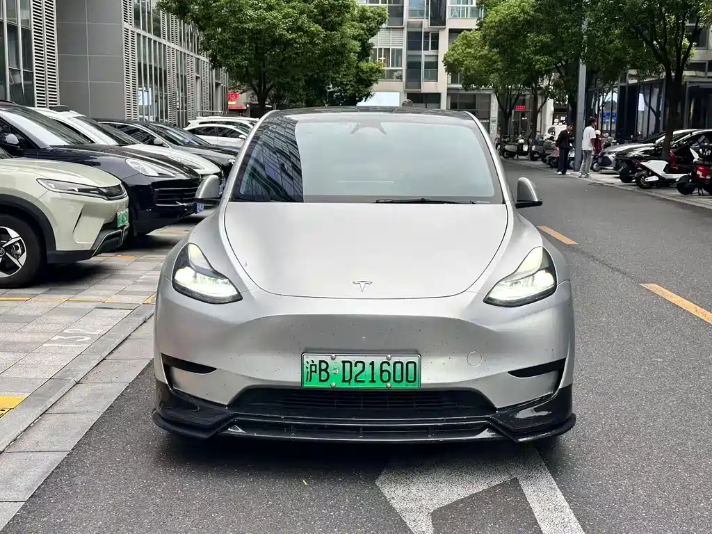 Tesla Model Y — миниатюра 2