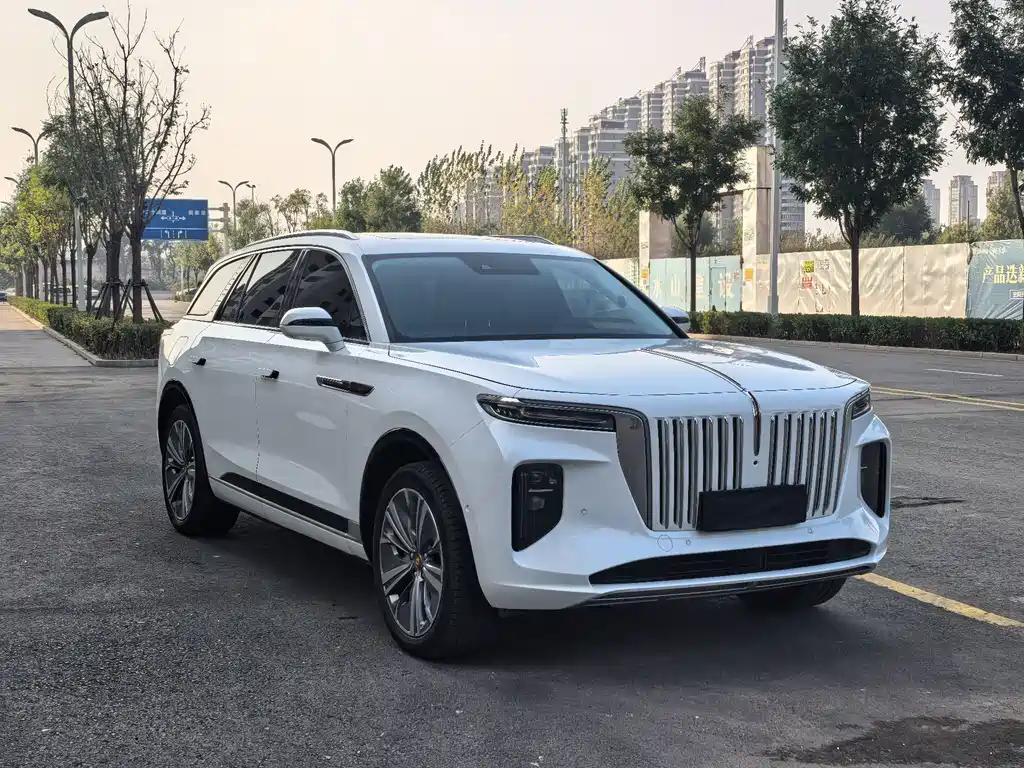 Hongqi Hongqi E-HS9 — миниатюра 2