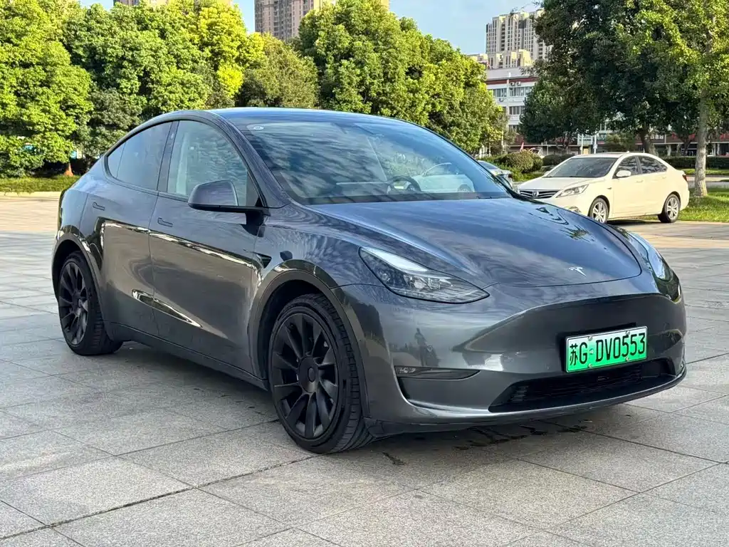 Tesla Model Y — миниатюра 3