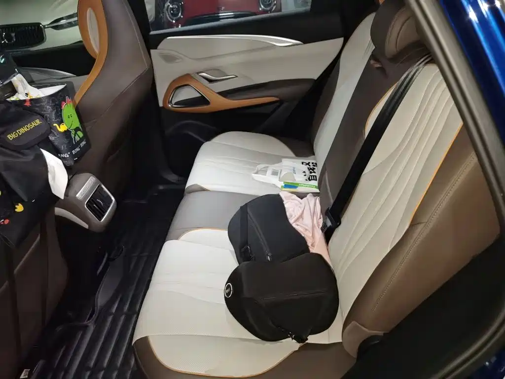 BYD Pro New Energy — миниатюра 14