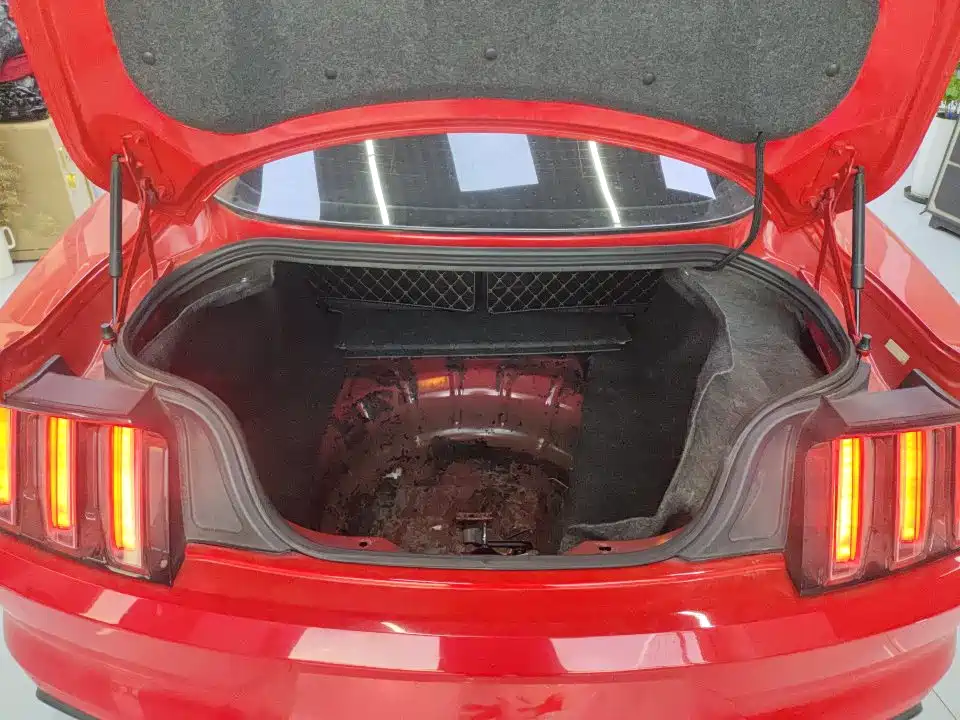 Ford Mustang — миниатюра 10