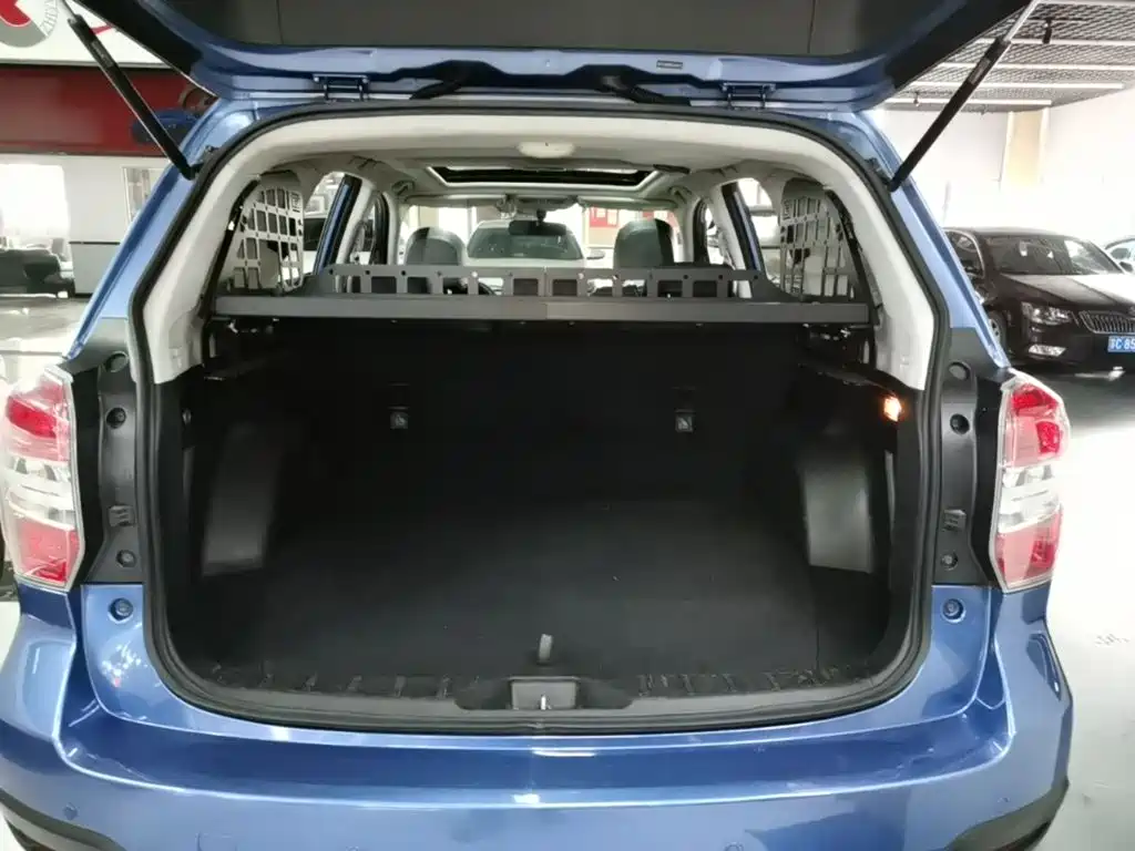 Subaru Forester — миниатюра 19