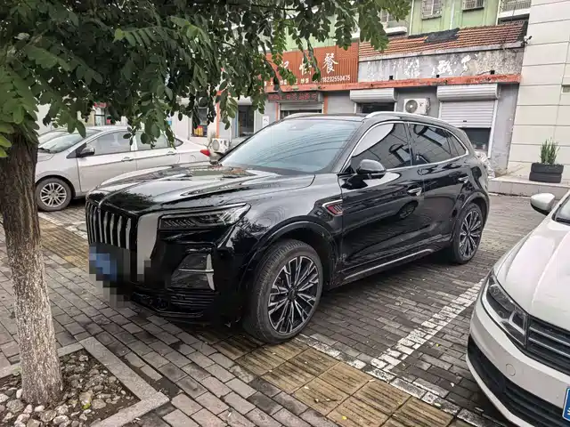 2024 Hongqi HS5