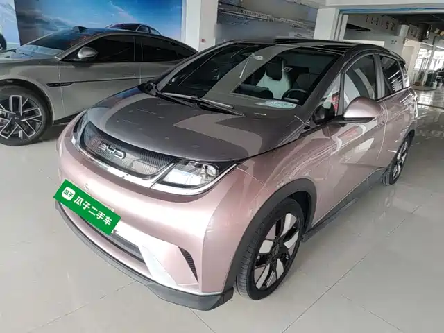 2021 BYD Dolphin