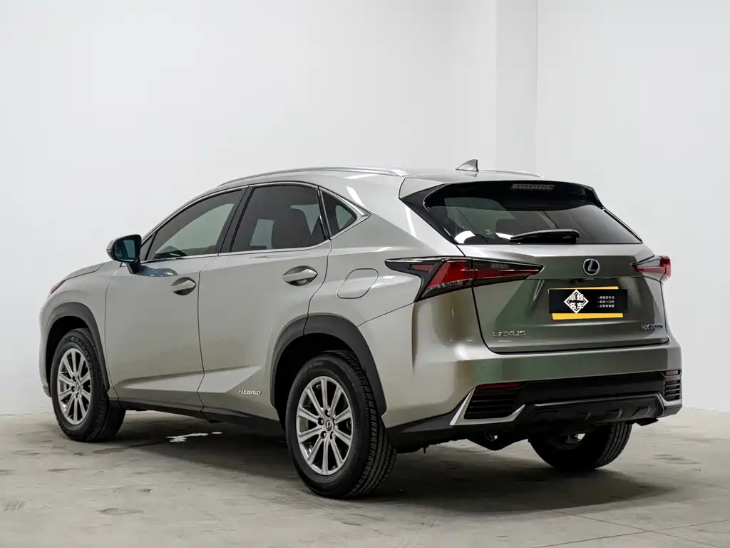 Lexus NX 2020 300h VI