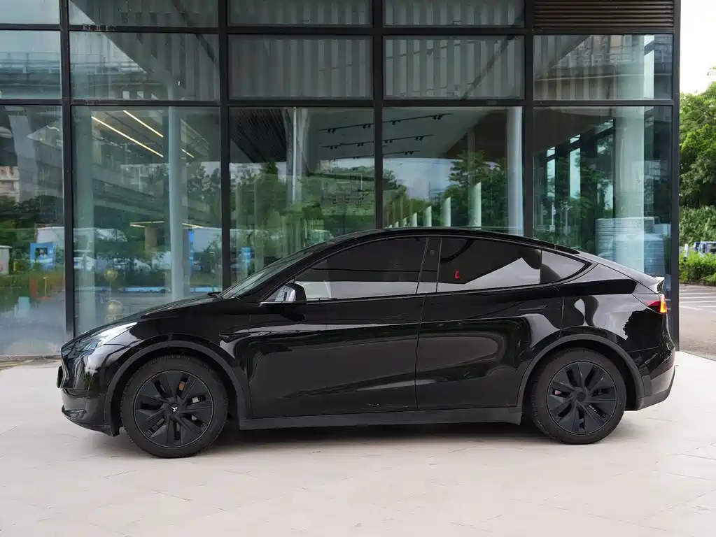 Tesla Model Y — миниатюра 14