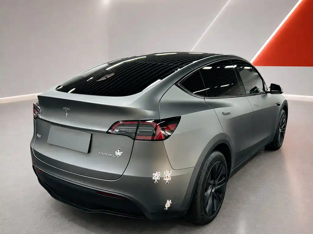 Tesla Model Y — миниатюра 4