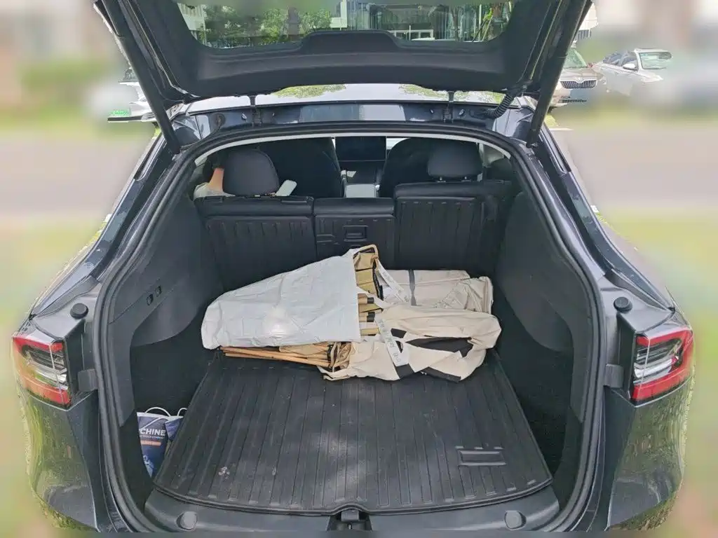 Tesla Model Y — миниатюра 10