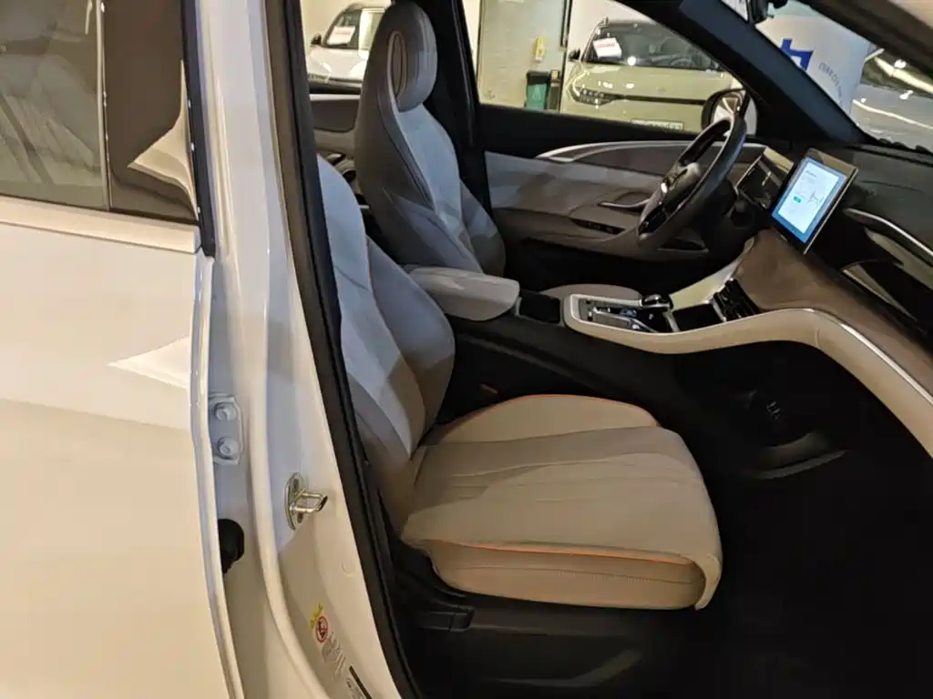 BYD Pro New Energy — миниатюра 25