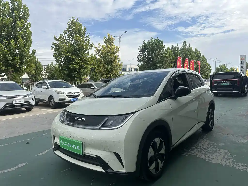 BYD Dolphin