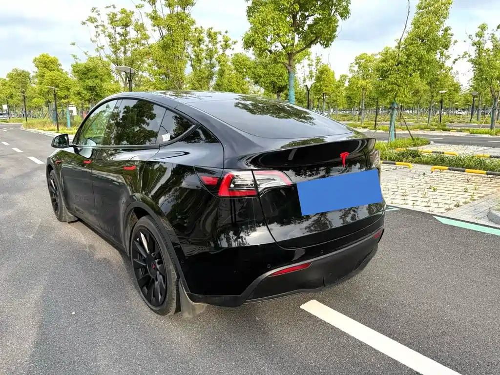 Tesla Model Y — миниатюра 14