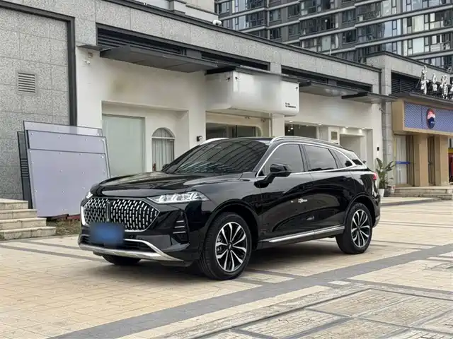 2022 Wey Mocha
