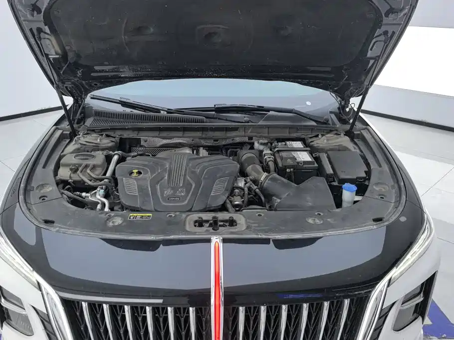 Hongqi Hongqi H5 — миниатюра 10