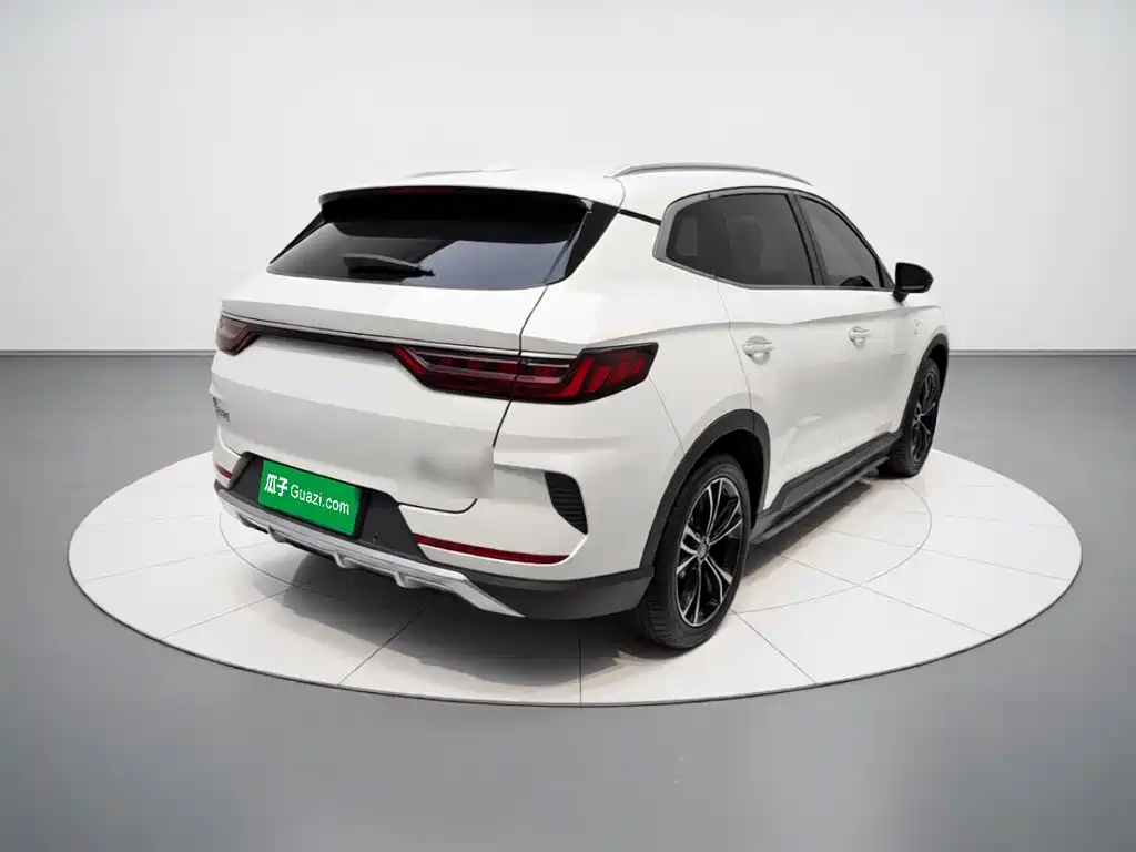 BYD PLUS — миниатюра 4