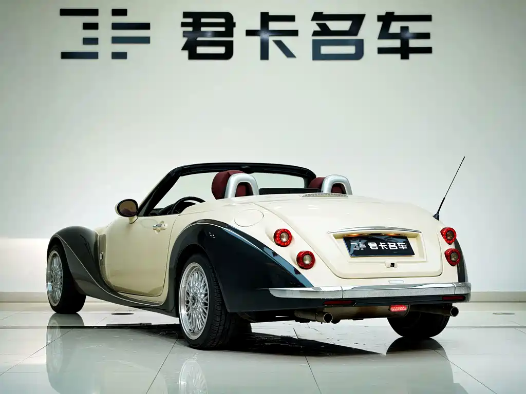 Mitsuoka Queen — миниатюра 4
