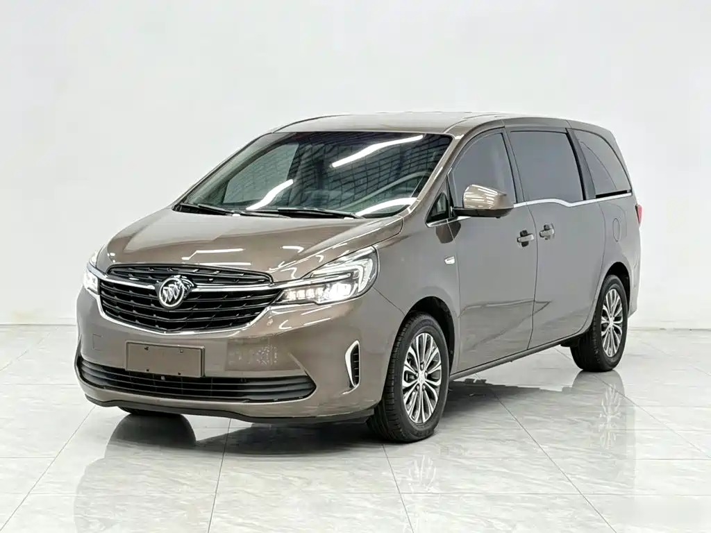 Buick GL8 — миниатюра 2