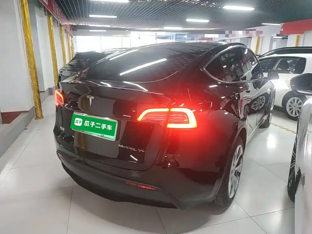 Tesla Model Y — миниатюра 7