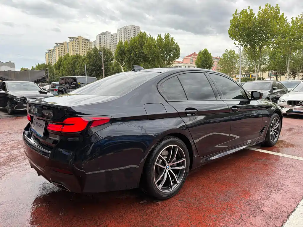 BMW 5 Series (Import) — миниатюра 6
