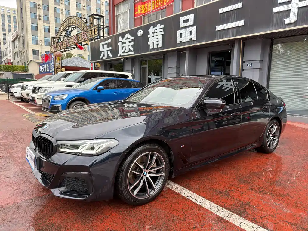 BMW 5 Series (Import) — миниатюра 2