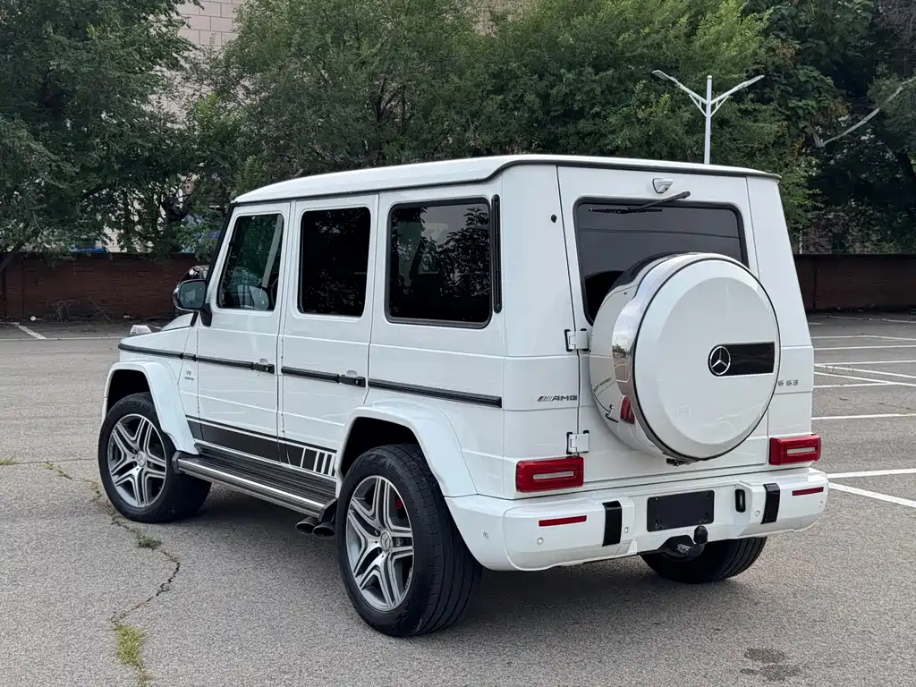 Mercedes-Benz G-Class AMG AMG G 63, фото 6