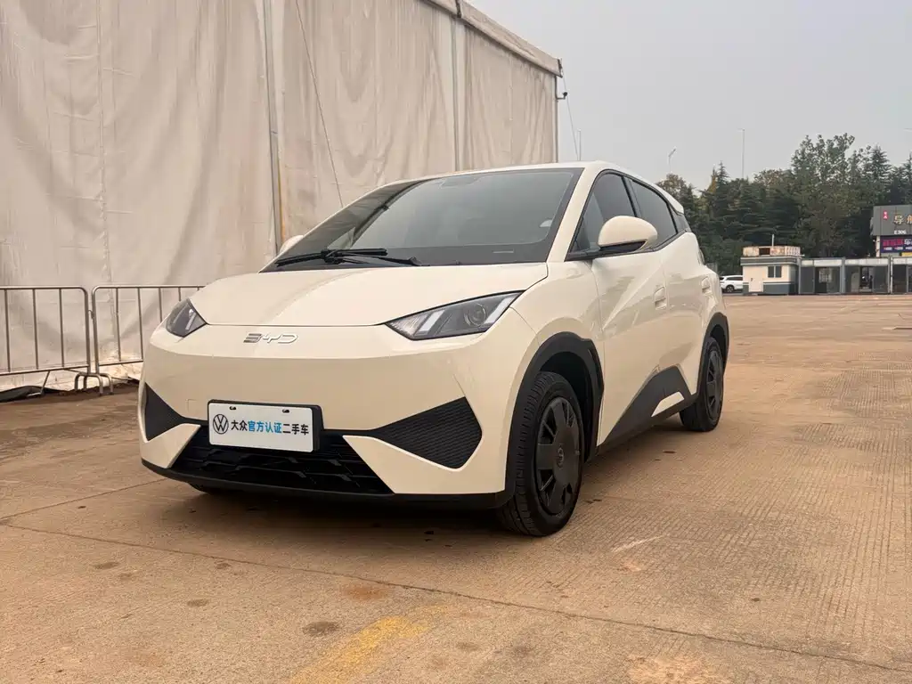 BYD Seagull