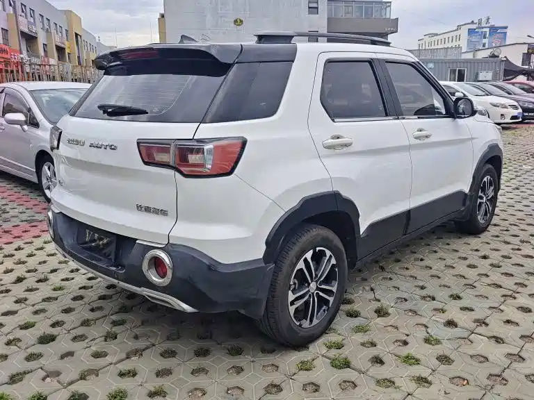 Bisu T3 1.3T Manual Luxury Type, фото 9