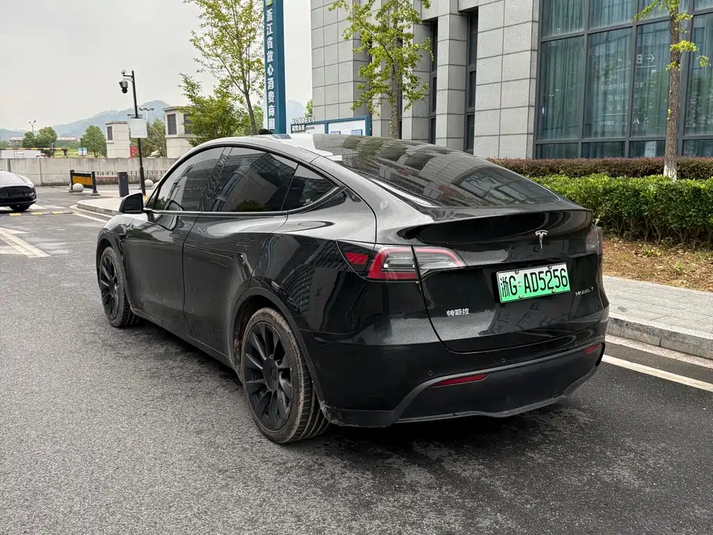 Tesla Model Y — миниатюра 9