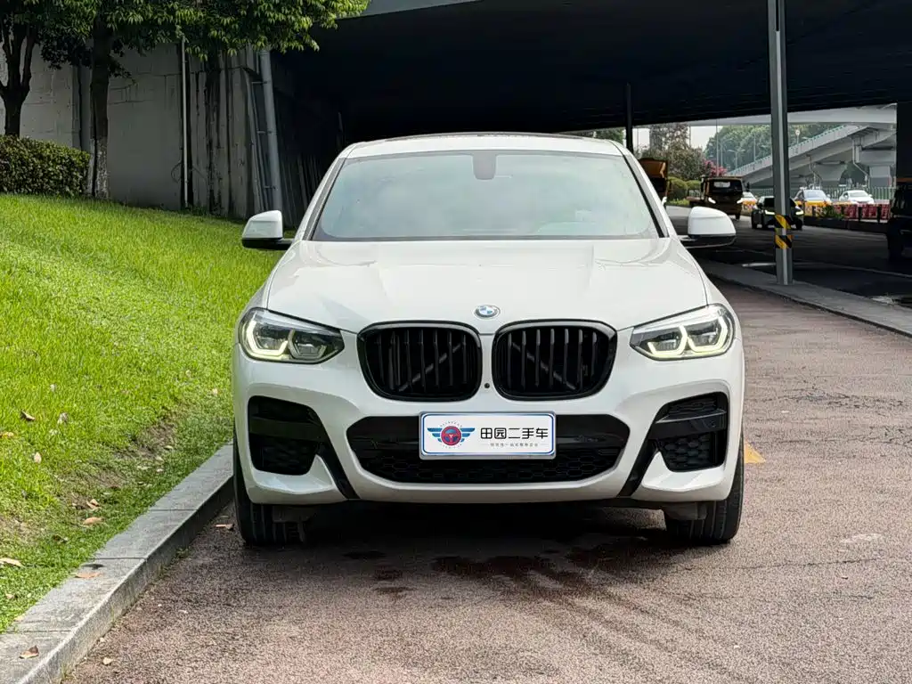 BMW X4 — миниатюра 2