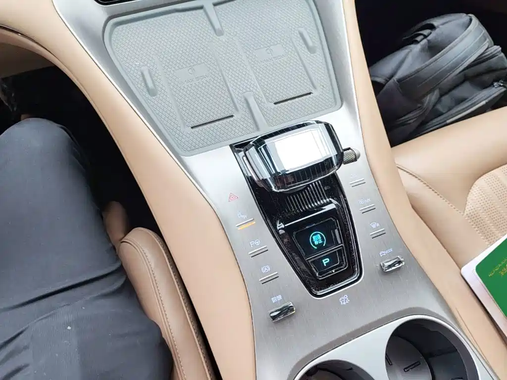Denza Denza N7 — миниатюра 14