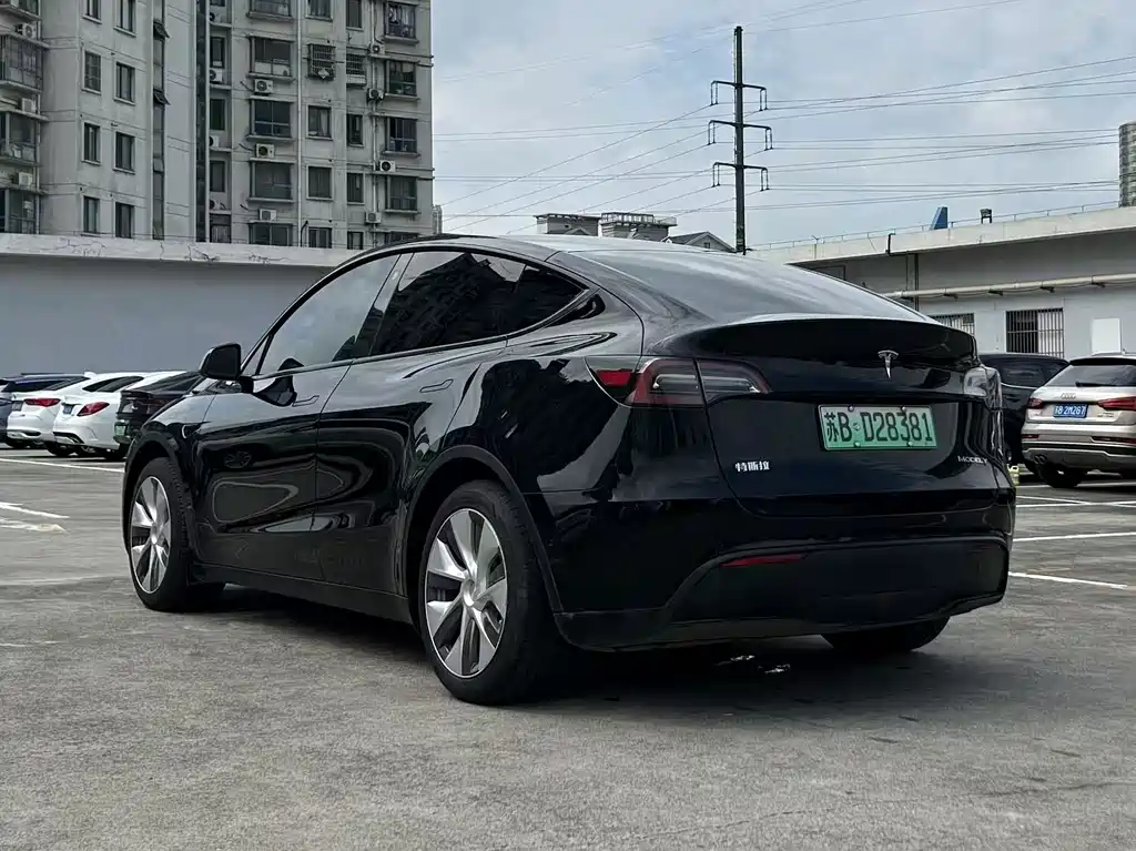 Tesla Model Y — миниатюра 7