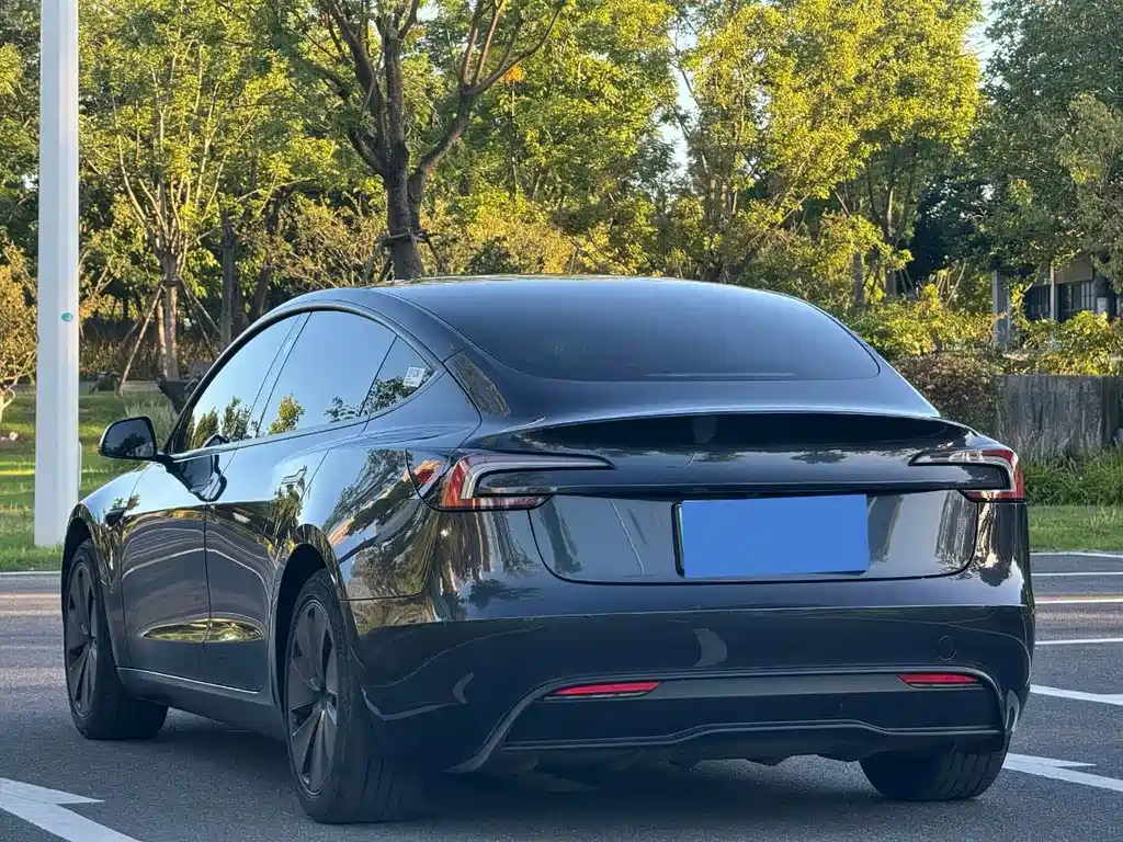 Tesla Model 3 — миниатюра 5