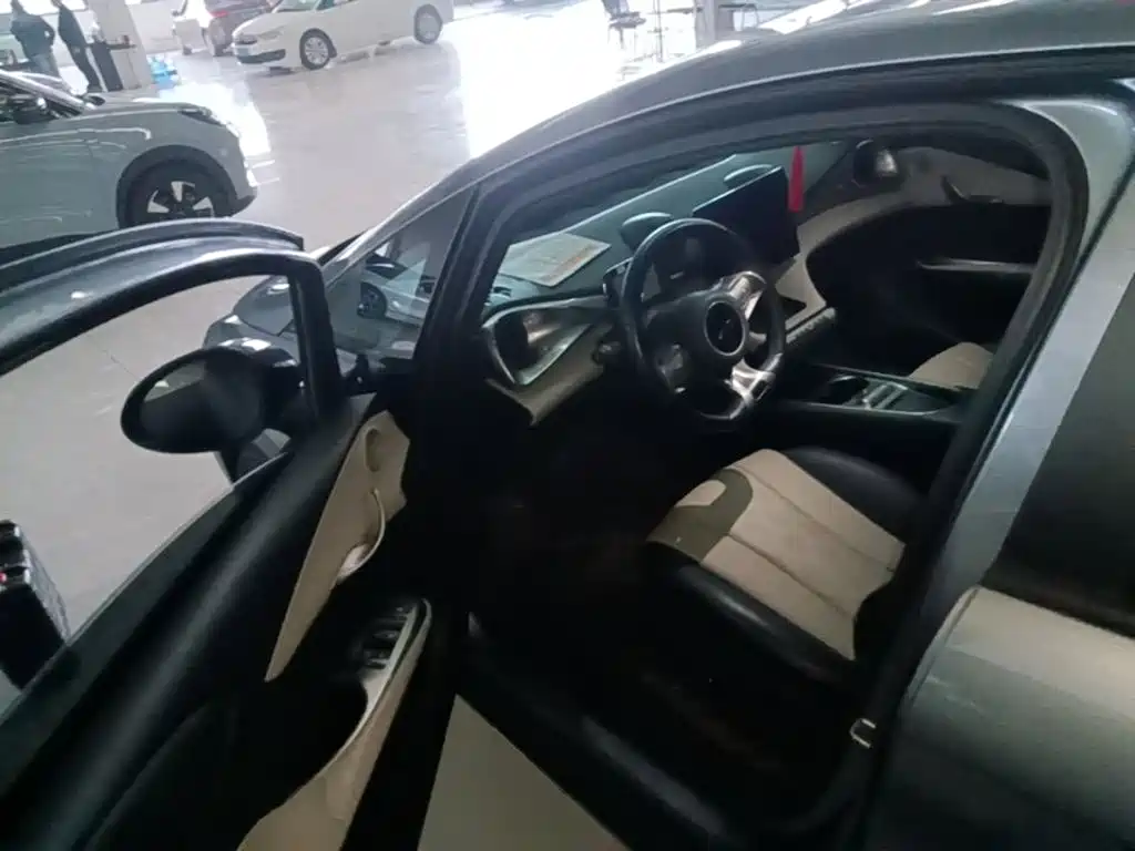BYD Dolphin — миниатюра 16
